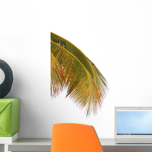 Palm Coconut White Wall Decal