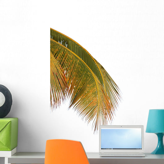 Palm Coconut White Wall Decal
