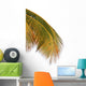Palm Coconut White Wall Decal