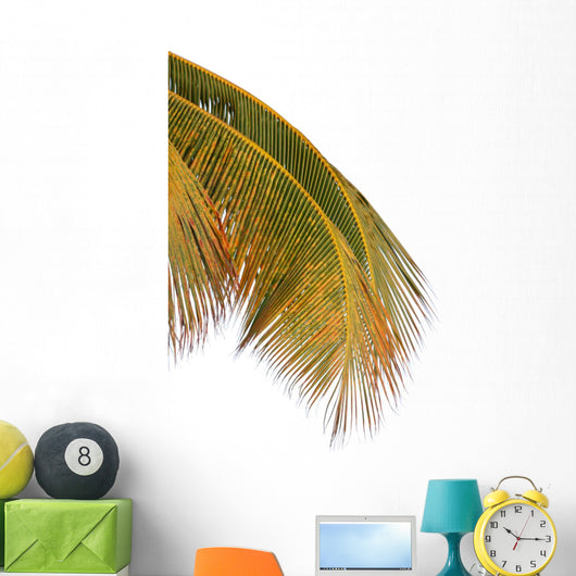 Palm Coconut White Wall Decal