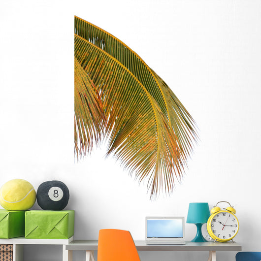 Palm Coconut White Wall Decal