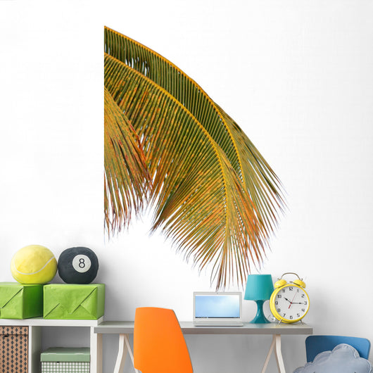 Palm Coconut White Wall Decal