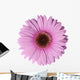 Light Purple Gerbera Flower Wall Decal