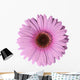 Light Purple Gerbera Flower Wall Decal