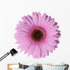 Light Purple Gerbera Flower Wall Decal