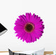 Violet Gerbera Flower Wall Decal