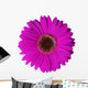 Violet Gerbera Flower Wall Decal