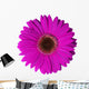 Violet Gerbera Flower Wall Decal