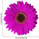 Violet Gerbera Flower Wall Decal