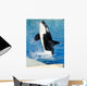 Killer Whale Wall Decal