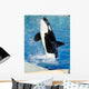 Killer Whale Wall Decal