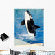 Killer Whale Wall Decal