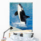 Killer Whale Wall Decal