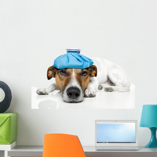 Sick Dog Wall Decal