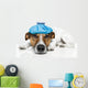 Sick Dog Wall Decal