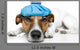 Sick Dog Wall Decal