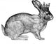 Royal Bunny Wall Decal