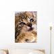 Sweet Cat Wall Decal