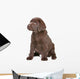 Chocolate Labrador Puppy Wall Decal