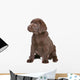 Chocolate Labrador Puppy Wall Decal
