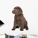 Chocolate Labrador Puppy Wall Decal