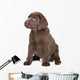 Chocolate Labrador Puppy Wall Decal