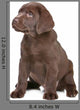Chocolate Labrador Puppy Wall Decal