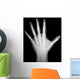 X-Ray Human Hand Wall Decal