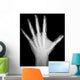 X-Ray Human Hand Wall Decal