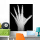 X-Ray Human Hand Wall Decal