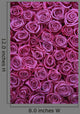 Group Pink Roses Wall Decal