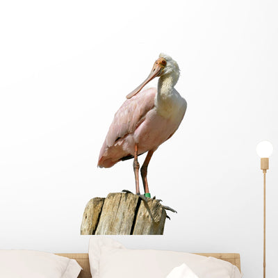 Roseate Spoonbill Wood Post Wall Decal shown on a wall