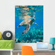 Green Sea Turtle Swimming Wall Decal
