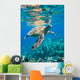 Green Sea Turtle Swimming Wall Decal
