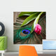 Peacocks Feather And Tulip Wall Decal