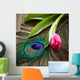 Peacocks Feather And Tulip Wall Decal