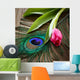 Peacocks Feather And Tulip Wall Decal