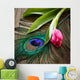 Peacocks Feather And Tulip Wall Decal