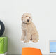 Australian Labradoodle Wall Decal