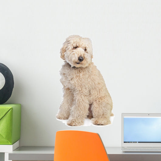 Australian Labradoodle Wall Decal