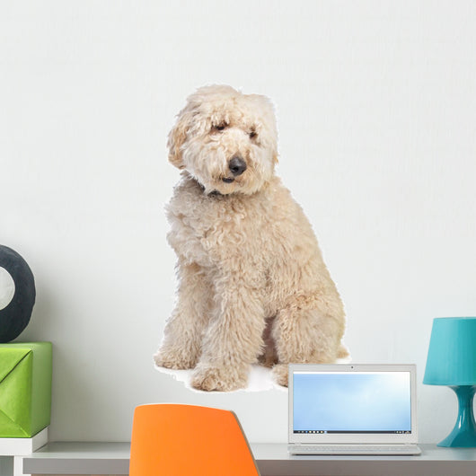 Australian Labradoodle Wall Decal
