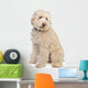 Australian Labradoodle Wall Decal