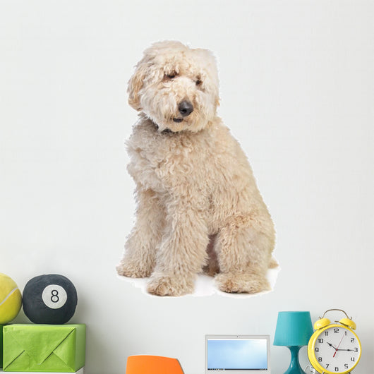 Australian Labradoodle Wall Decal
