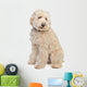 Australian Labradoodle Wall Decal