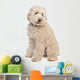 Australian Labradoodle Wall Decal