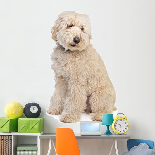 Australian Labradoodle Wall Decal