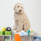 Australian Labradoodle Wall Decal