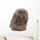 Brown Shih Tzu Dog Wall Decal