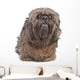 Brown Shih Tzu Dog Wall Decal