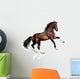 Rearing Bay Horse Wall Decal